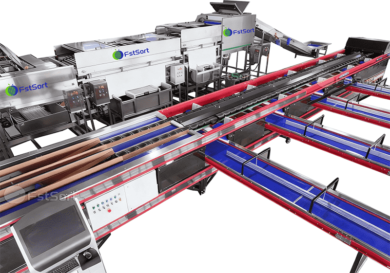 images/1771926471755Small Pumpkin Weight Grading Machine.png